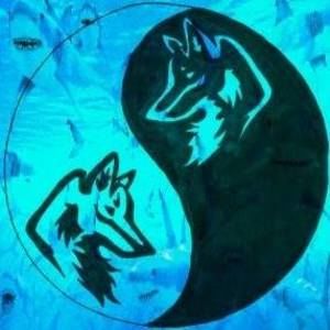 Meet your Posher, Ethan